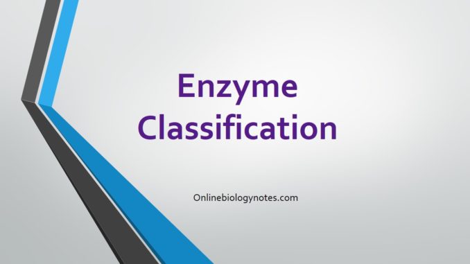 Enzyme classification with examples