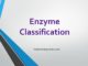 Enzyme classification with examples