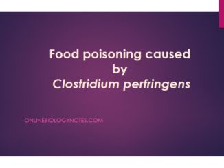 Food poisoning caused by Clostridium perfringens
