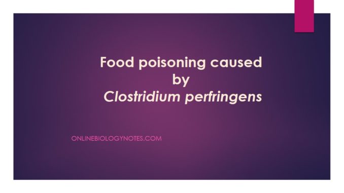 Food poisoning caused by Clostridium perfringens