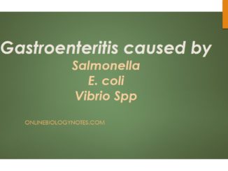 Gastroenteritis caused by Salmonella, E. coli and Vibrio spp