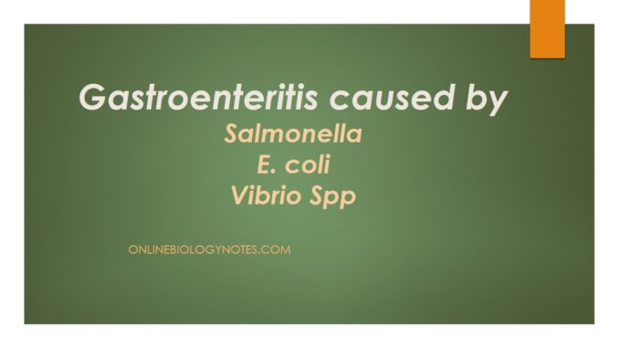 Gastroenteritis caused by Salmonella, E. coli and Vibrio spp