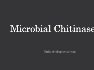 Microbial Chitinase: production process and applications