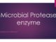 Microbial Protease enzyme: industrial application and production process