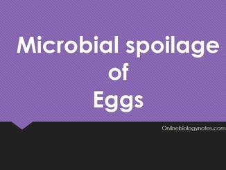 Microbial spoilage of eggs and methods of preservation