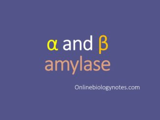 Microbial α and β amylase- Production process and industrial applications