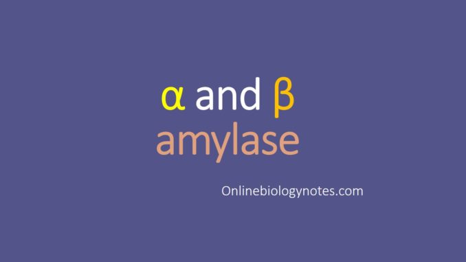 Microbial α and β amylase- Production process and industrial applications