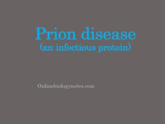 Prion disease (an infectious protein)