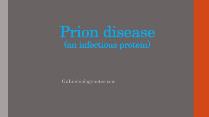 Prion disease (an infectious protein)