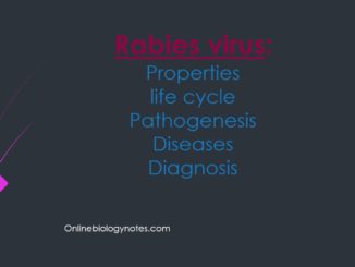 Rabies virus: Properties, life cycle, pathogenesis, diseases and diagnosis