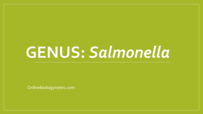 Salmonella: morphology, antigenic structure, cultural and biochemical characteristics