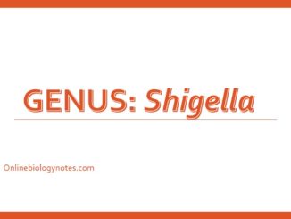 Shigella: antigenic structure, cultural characteristics and biochemical tests