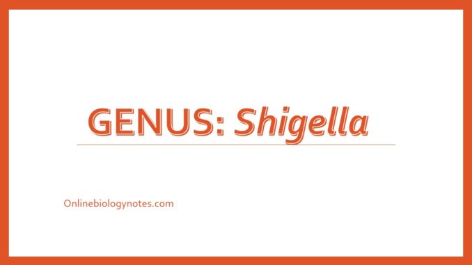 Shigella: antigenic structure, cultural characteristics and biochemical tests