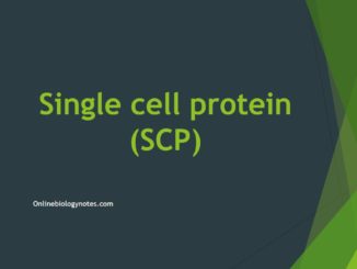 Single cell protein (SCP): Substrate and steps involved in production