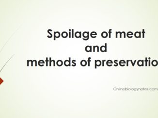 Microbial spoilage of meat and methods of preservation