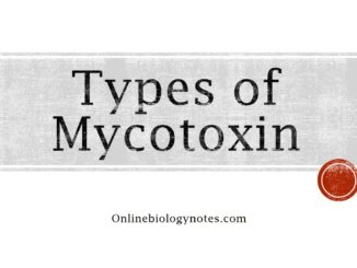 Types of Mycotoxin
