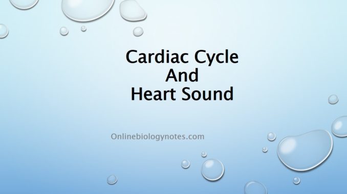 Cardiac cycle and heart sound