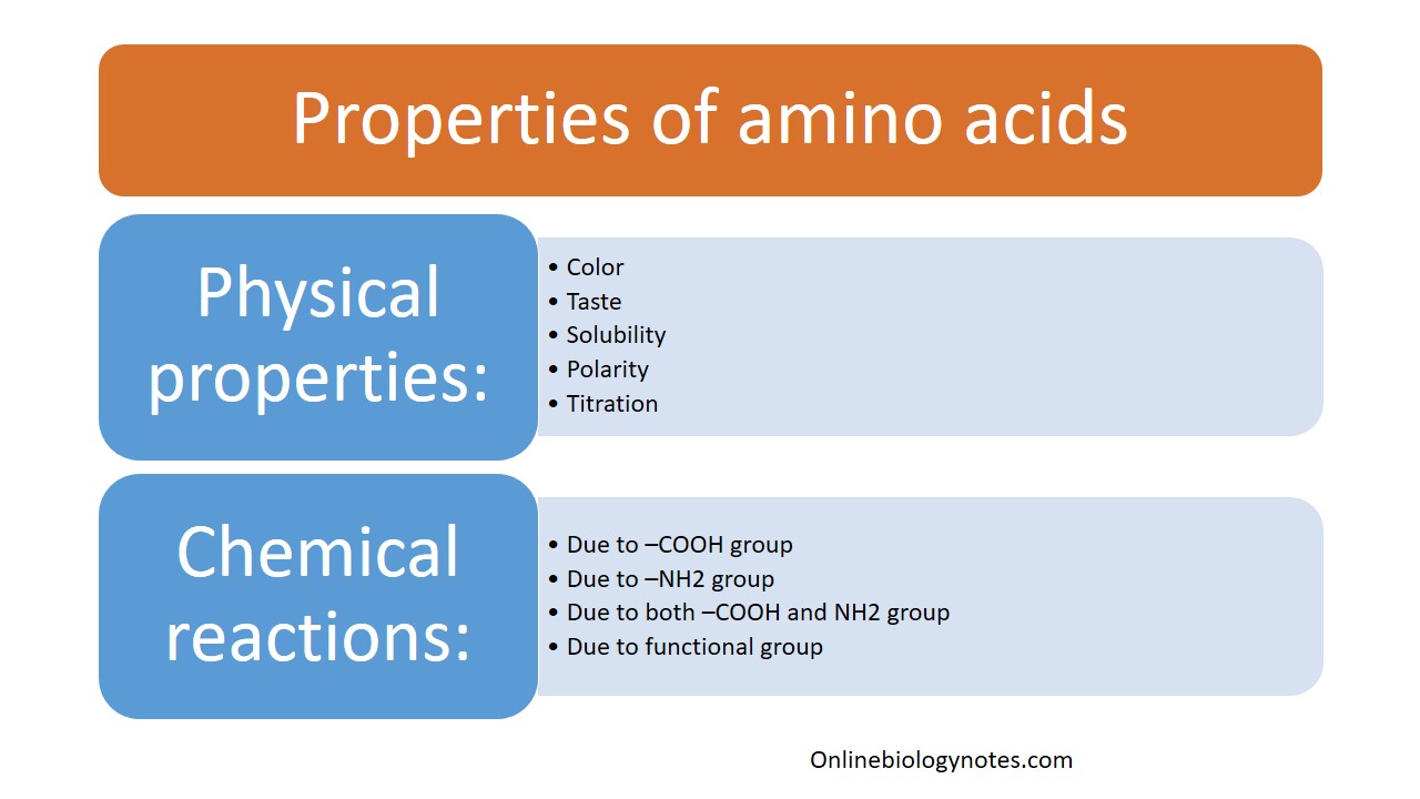 Difference Between Acids and Bases: Key Properties