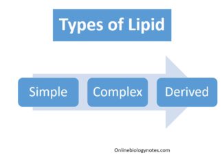 Classification of lipid