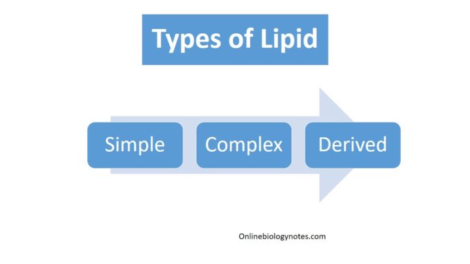 Classification of lipid