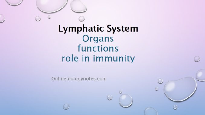 Lymph and Lymphatic system: functions and role in immunity