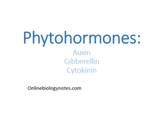 Phytohormones: Types and physiological effects in plant growth and development