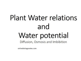 Plant water relations and water potential: Diffusion, Osmosis and Imbibition