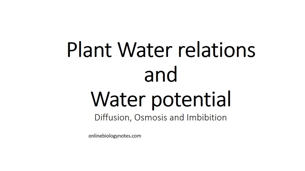 Plant water relations and water potential: Diffusion, Osmosis and  Imbibition - Online Biology Notes