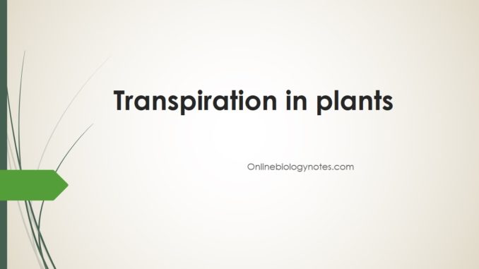Transpiration in plants: types, mechanism, affecting factors and significance