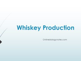 Production process of Whisky