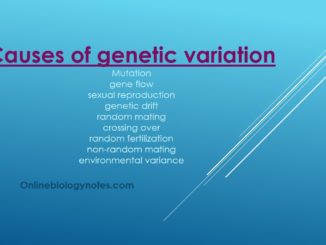 Causes of genetic variation