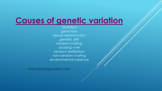 Causes of genetic variation