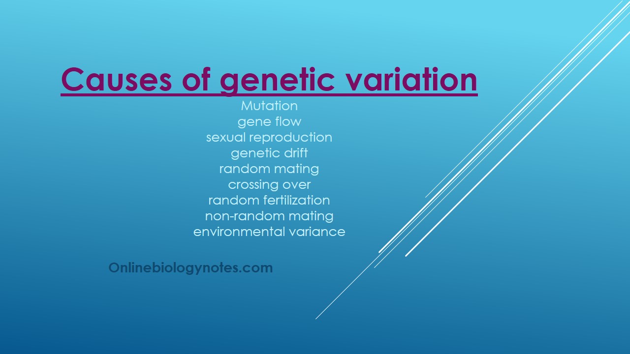 Genetic variation as a cause of evolution - Online Biology Notes
