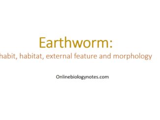 Earthworm: habit, habitat, external feature and morphology