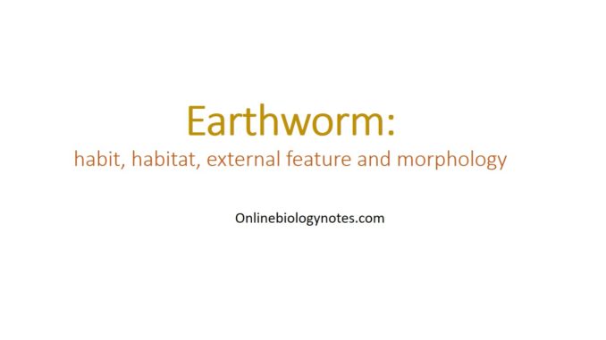 Earthworm: habit, habitat, external feature and morphology