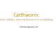 Earthworm: habit, habitat, external feature and morphology
