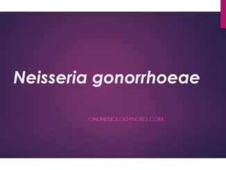 Neisseria gonorrhoeae: morphology, characteristics, pathogenesis, diagnosis and treatment
