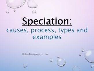 Speciation: causes, process, types and examples