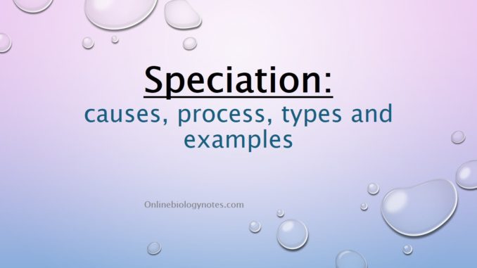 Speciation: causes, process, types and examples