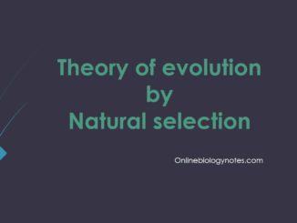 Theory of evolution by Natural selection