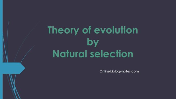 Theory of evolution by Natural selection