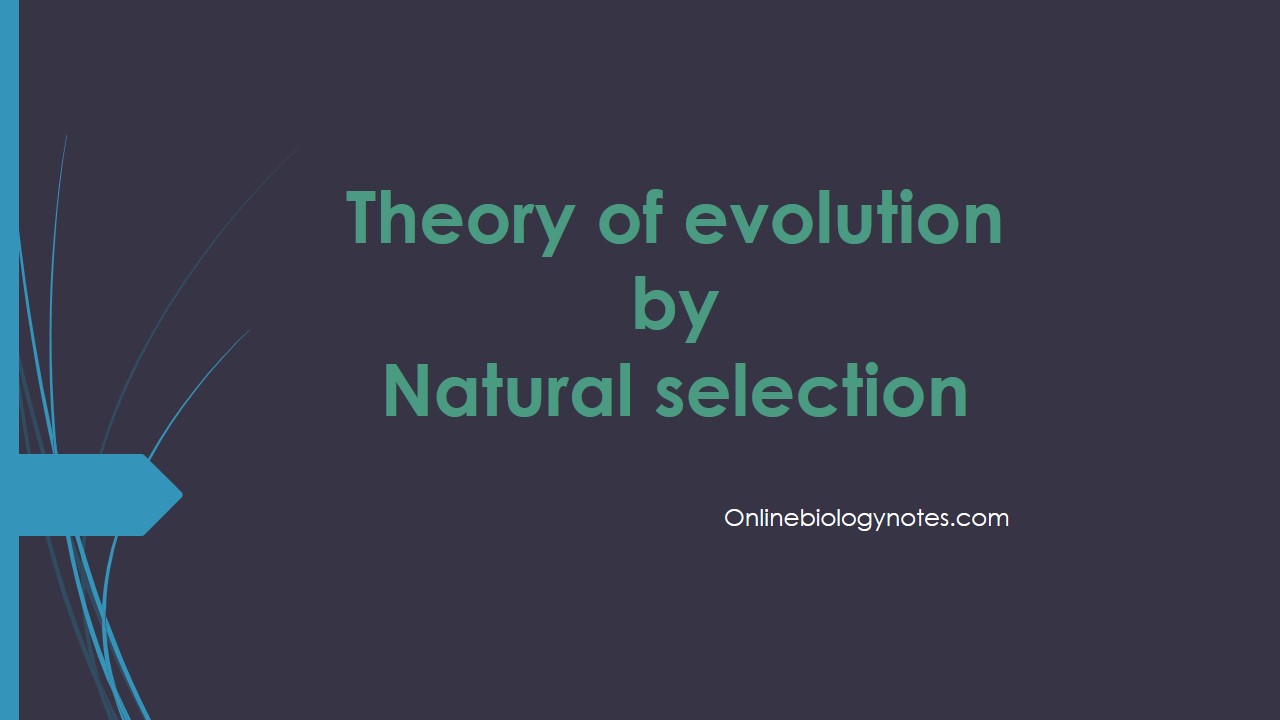 Theory of evolution by Natural selection - Online Biology Notes