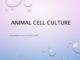 Animal cell culture