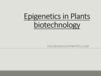 Epigenetics in plants