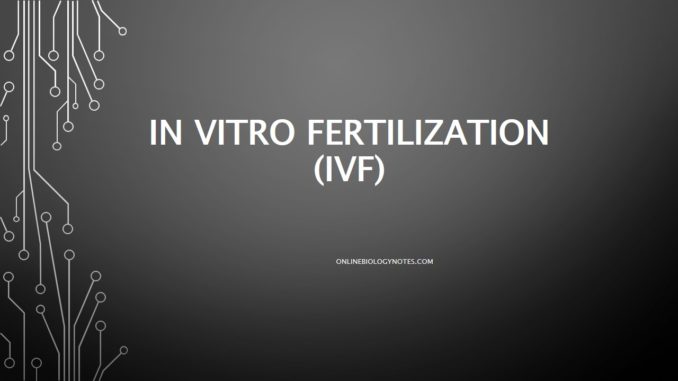 In vitro fertilization (IVF)