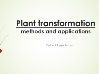 Plants transformation methods and applications