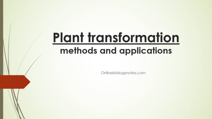 Plants transformation methods and applications