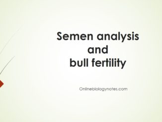 Semen analysis and bull fertility