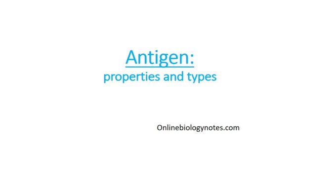 types and characteristics of antigen
