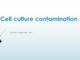 Cell culture contamination